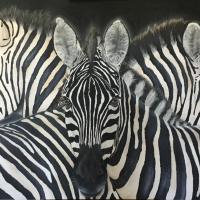 Zebra canvas